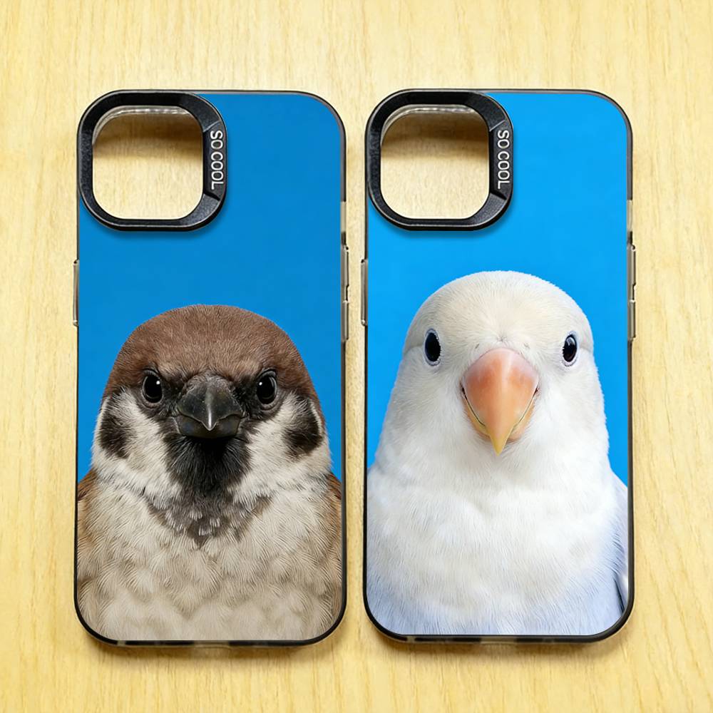 Funny Bird Photography Phone C - огляд і ціна Photography Quotes Funny