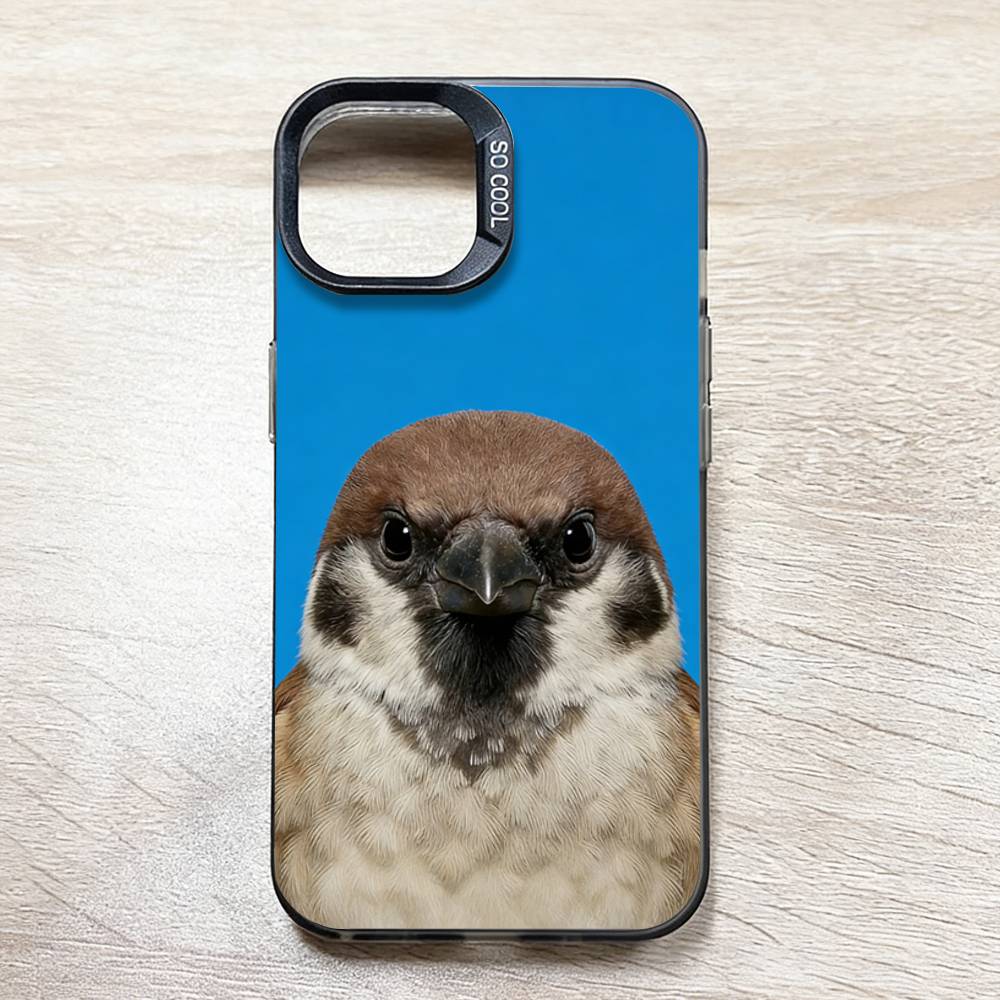 Funny Bird Photography Phone C - огляд і ціна Photography Quotes Funny