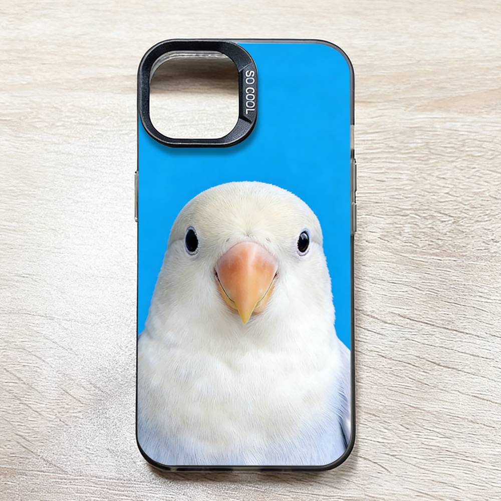 Funny Bird Photography Phone C - огляд і ціна Photography Quotes Funny