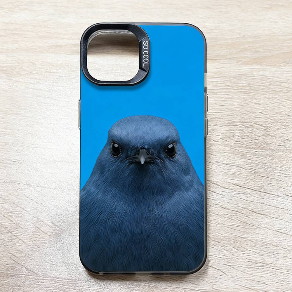 Funny Bird Photography Phone C - огляд і ціна Photography Quotes Funny