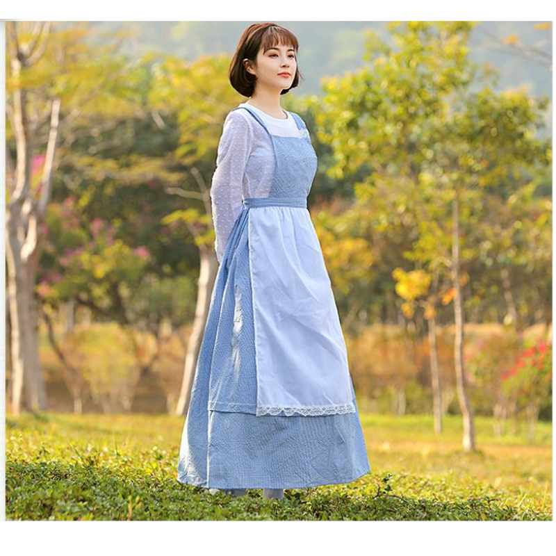 New French style blue grid far - огляд і ціна Photography Grid