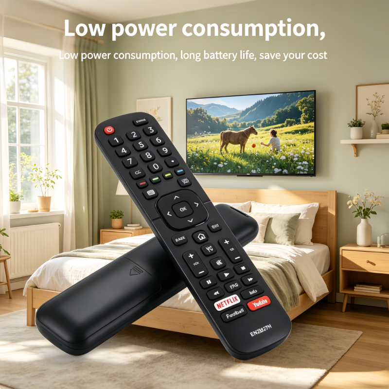 EN2BJ27H Replacement Remote Co - огляд і ціна Photography Prompt