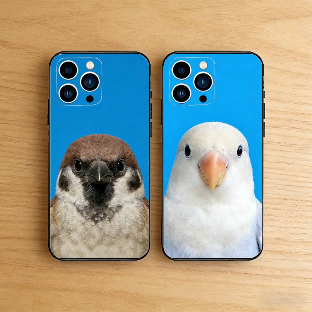 Funny Bird Photography Phone C - огляд і ціна Photography Quotes Funny