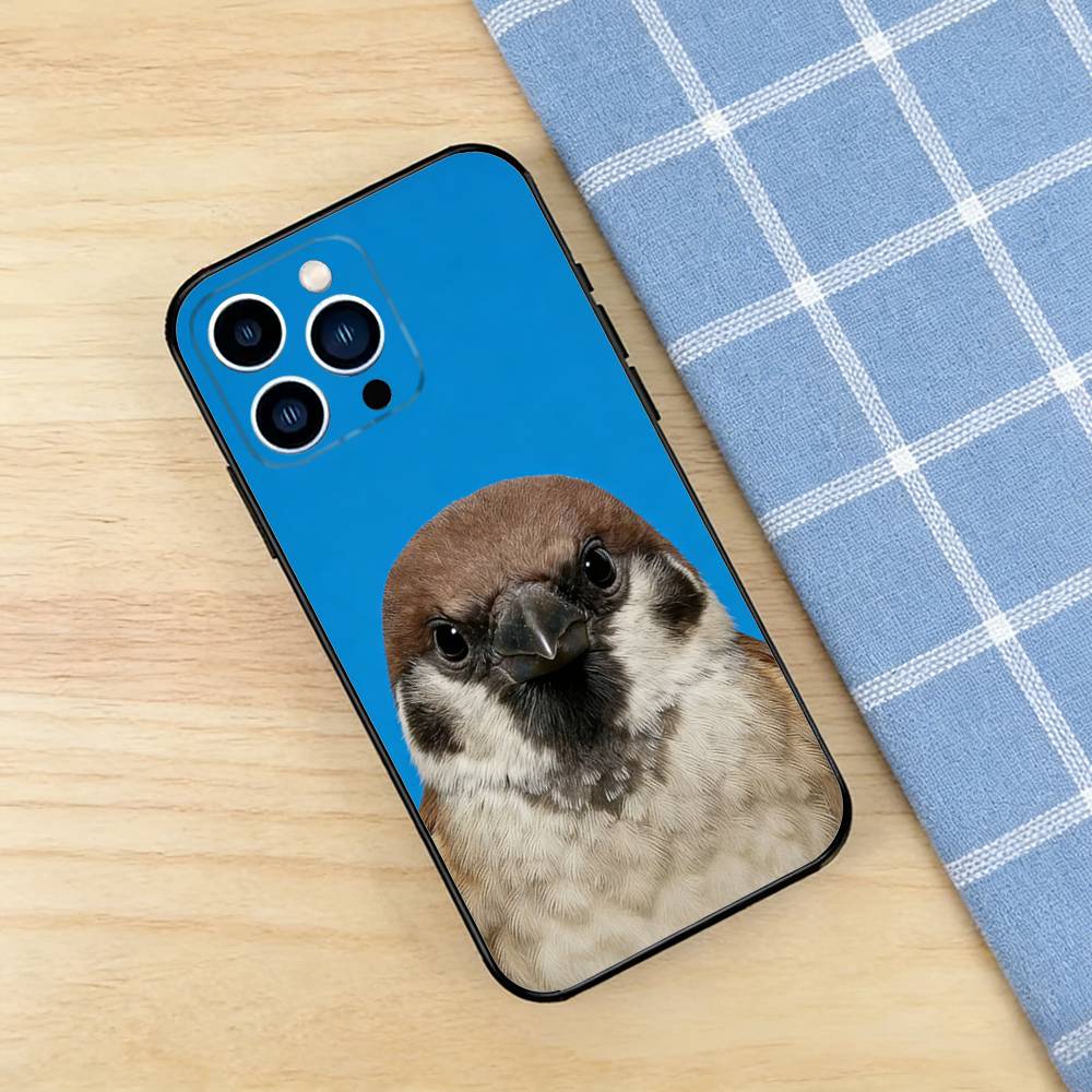 Funny Bird Photography Phone C - огляд і ціна Photography Quotes Funny