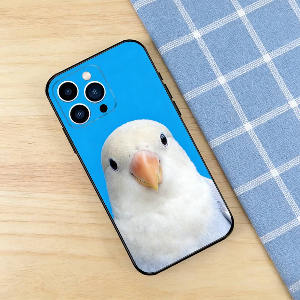 Funny Bird Photography Phone C - огляд і ціна Photography Quotes Funny