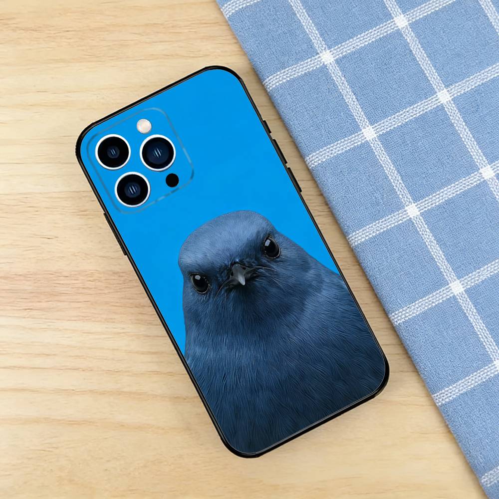 Funny Bird Photography Phone C - огляд і ціна Photography Quotes Funny