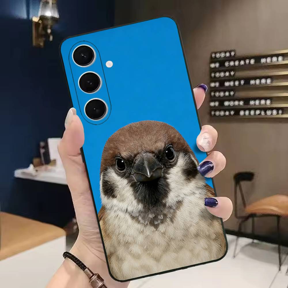 Funny Bird Photography Phone C - огляд і ціна Photography Quotes Funny