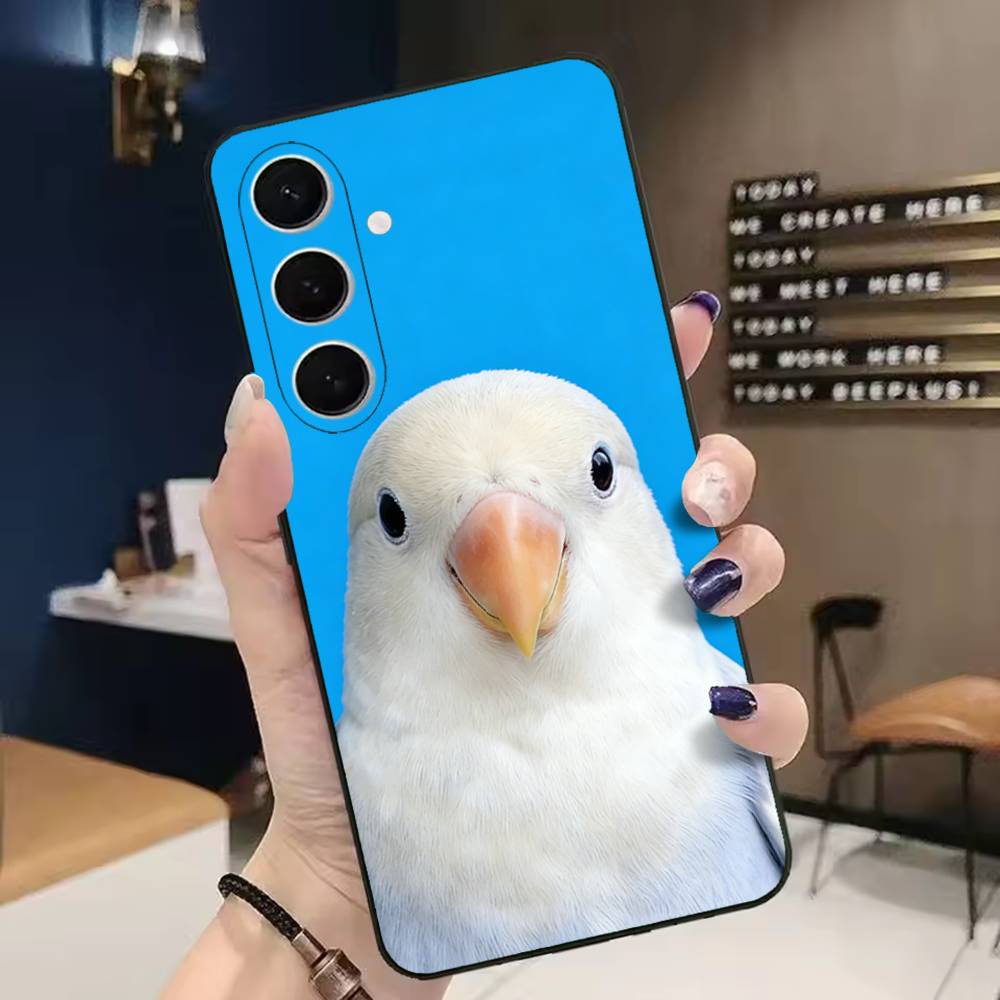 Funny Bird Photography Phone C - огляд і ціна Photography Quotes Funny