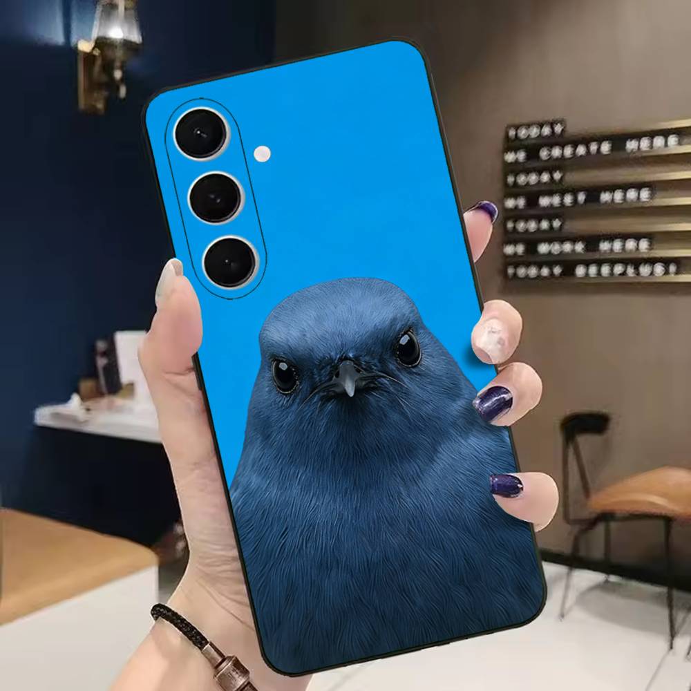 Funny Bird Photography Phone C - огляд і ціна Photography Quotes Funny