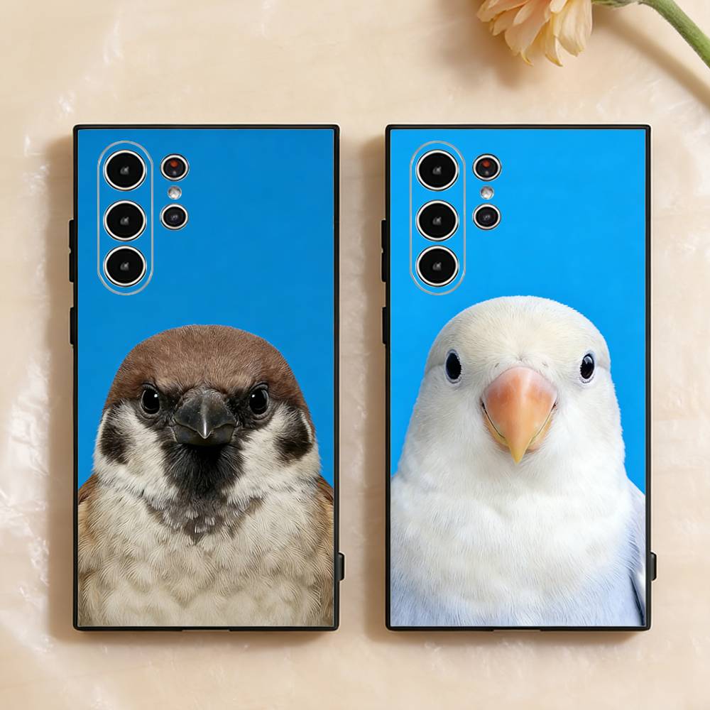 Funny Bird Photography Phone C - огляд і ціна Photography Quotes Funny