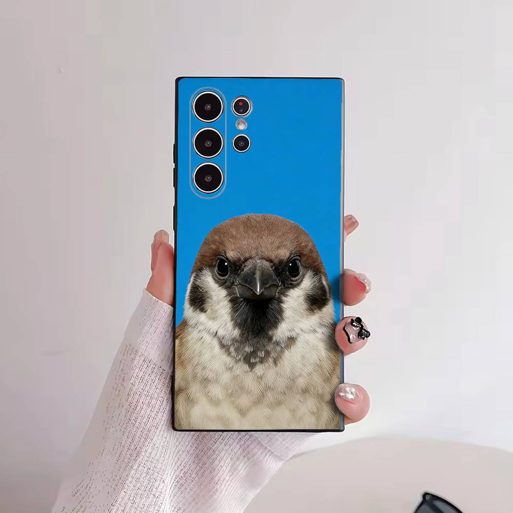 Funny Bird Photography Phone C - огляд і ціна Photography Quotes Funny