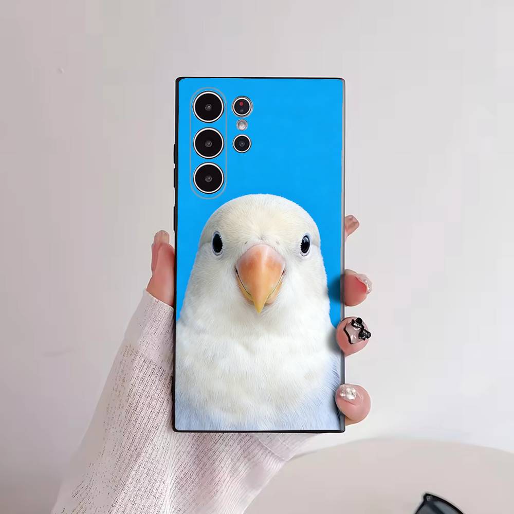 Funny Bird Photography Phone C - огляд і ціна Photography Quotes Funny