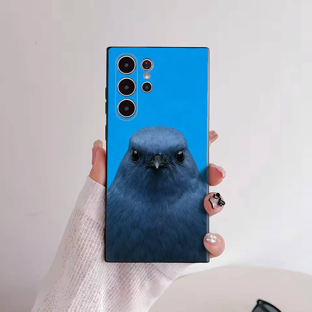 Funny Bird Photography Phone C - огляд і ціна Photography Quotes Funny