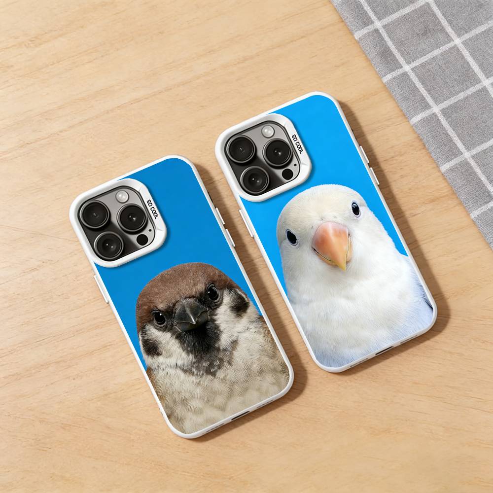 Funny Bird Photography Phone C - огляд і ціна Photography Quotes Funny