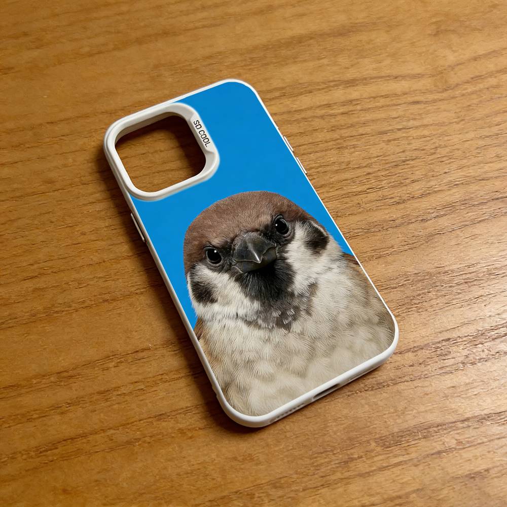 Funny Bird Photography Phone C - огляд і ціна Photography Quotes Funny