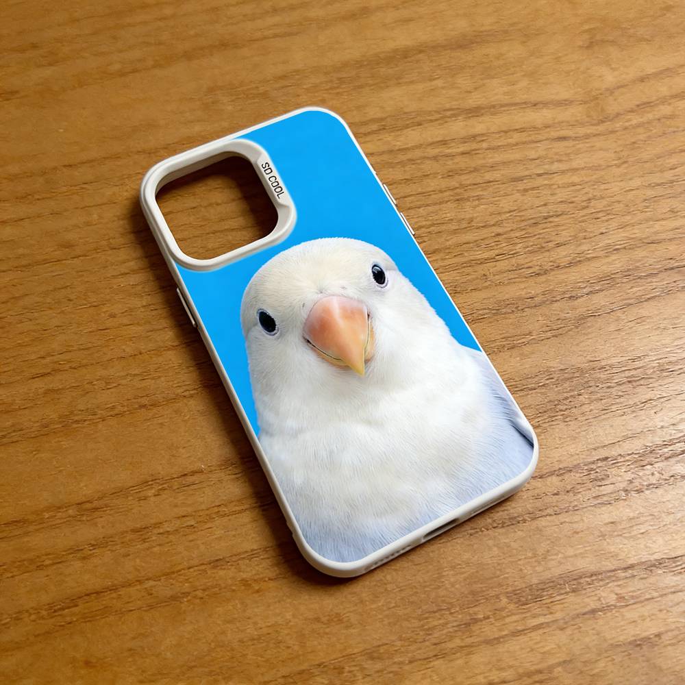 Funny Bird Photography Phone C - огляд і ціна Photography Quotes Funny